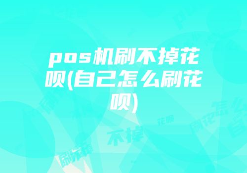 pos機(jī)刷不掉花唄(自己怎么刷花唄)